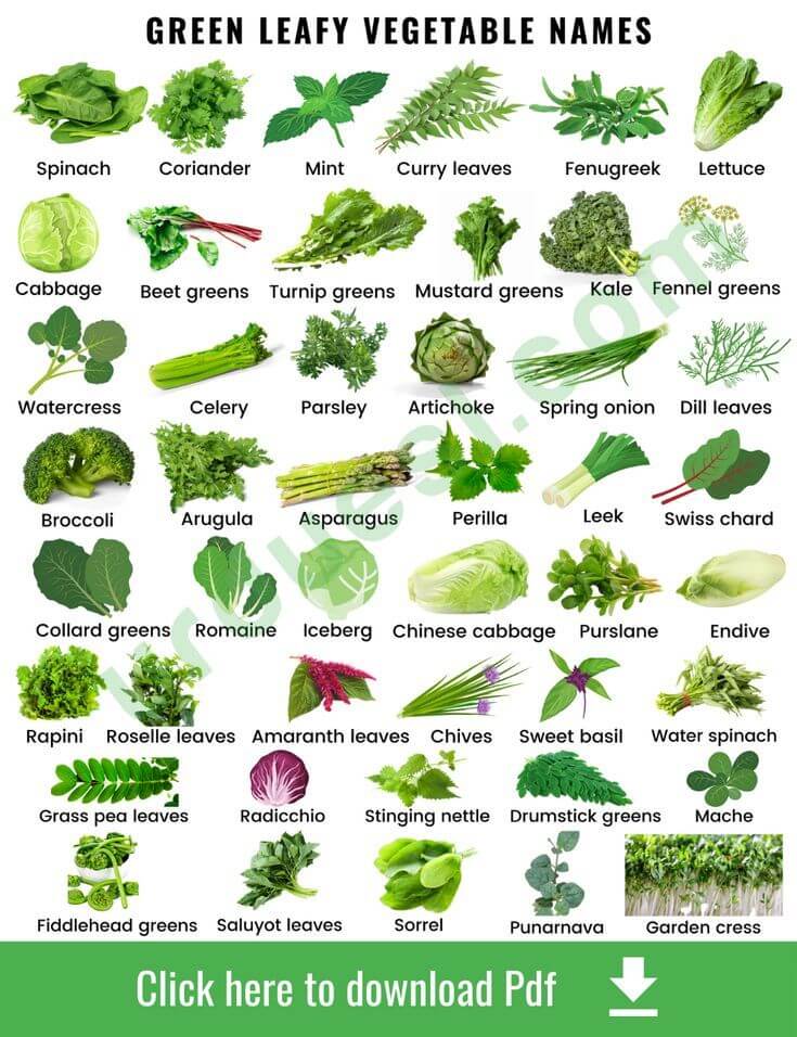 50 Vegetables Name For Kids In English And Hindi