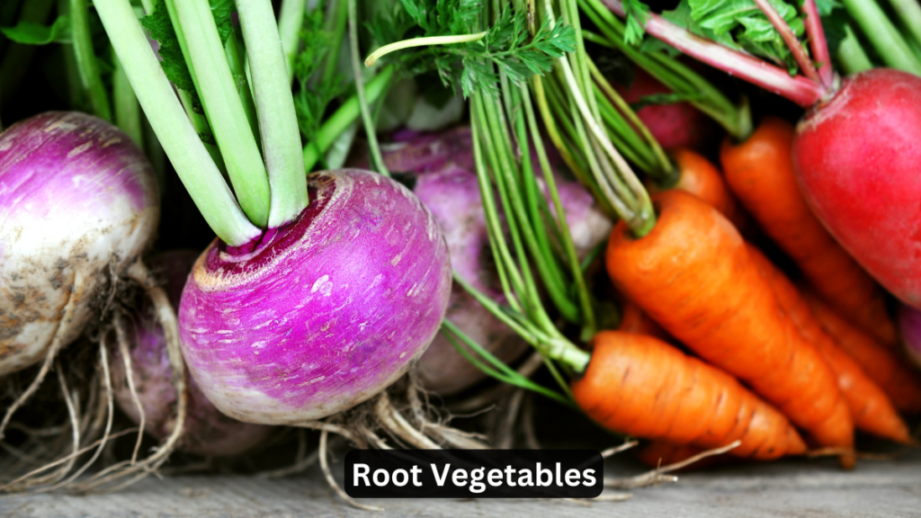 Root Vegetables Names